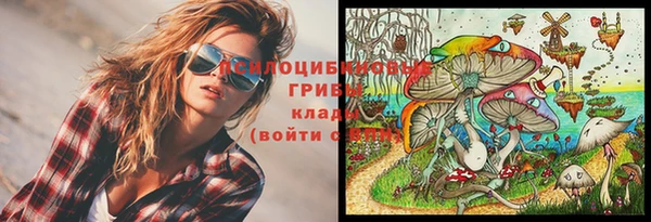 мет Армянск
