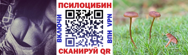 Галлюциногенные грибы Psilocybe что такое Сорочинск
